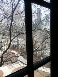 Tree, courtyard, and Chicago. Look, it's the Sears Tower!